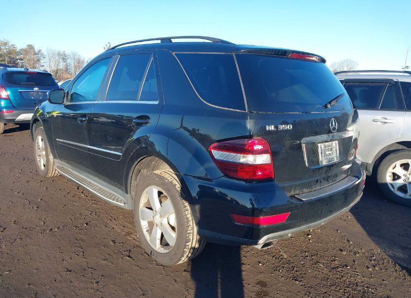 Photo 3 of 2010 Mercedes-benz Ml 350 4MATIC (VIN 4JGBB8GB6AA570939)