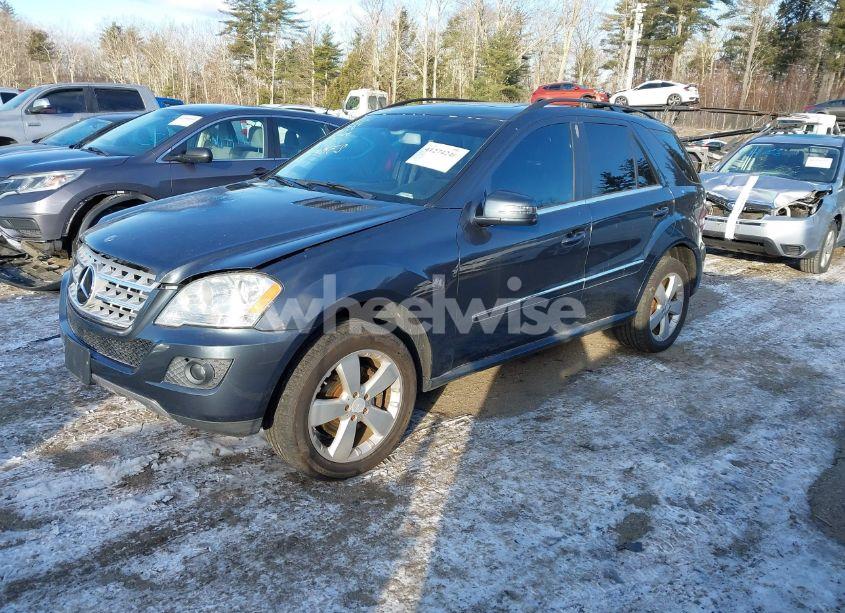 Photo 2 of 2011 Mercedes-benz Ml 350 4MATIC (VIN 4JGBB8GB8BA635548)