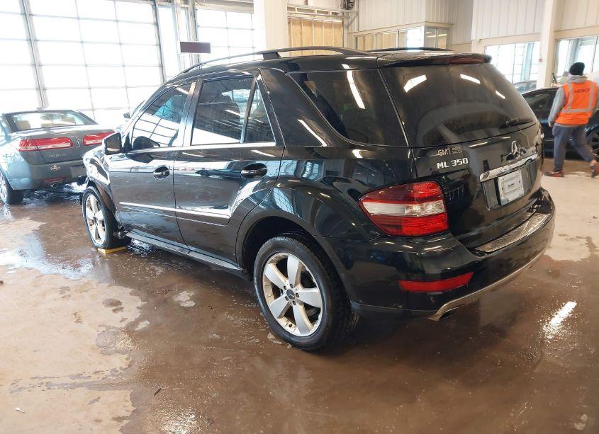 Photo 3 of 2011 Mercedes-benz Ml 350 4MATIC (VIN 4JGBB8GB8BA651152)