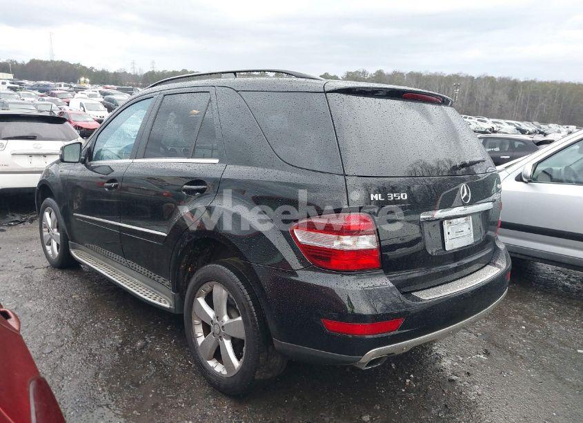 Photo 3 of 2011 Mercedes-benz Ml 350 4MATIC (VIN 4JGBB8GB9BA672060)