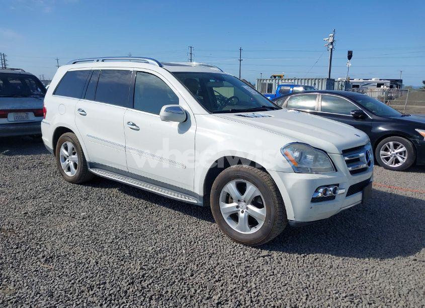 2010 Mercedes-benz Gl 450 4MATIC (VIN 4JGBF7BE3AA605873) main photo