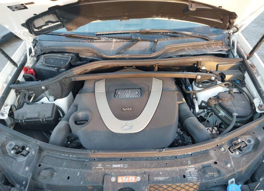 Photo 10 of 2010 Mercedes-benz Gl 450 4MATIC (VIN 4JGBF7BE8AA534167)