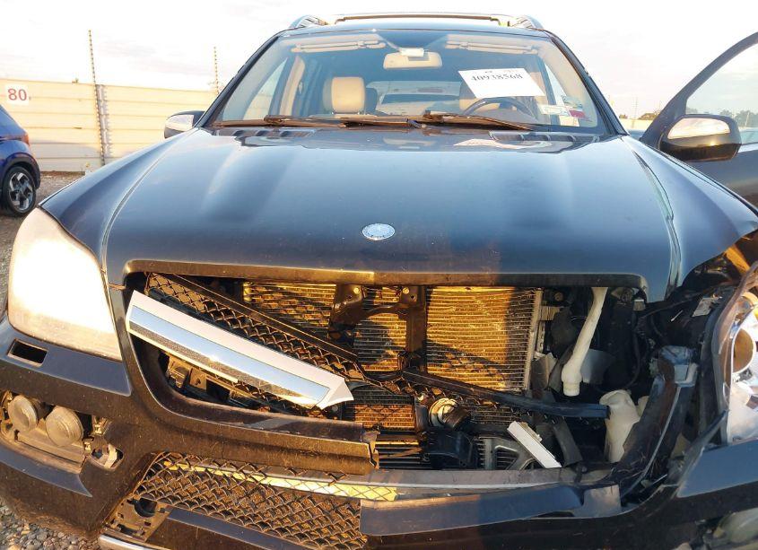 Photo 10 of 2010 Mercedes-benz Gl 450 4MATIC (VIN 4JGBF7BE8AA587001)