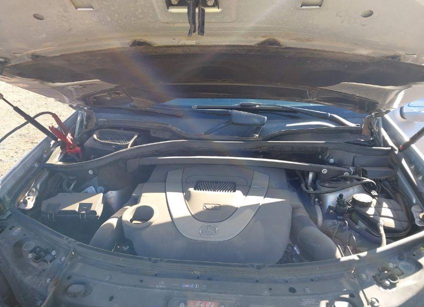 Photo 10 of 2010 Mercedes-benz Gl 550 4MATIC (VIN 4JGBF8GE6AA569739)