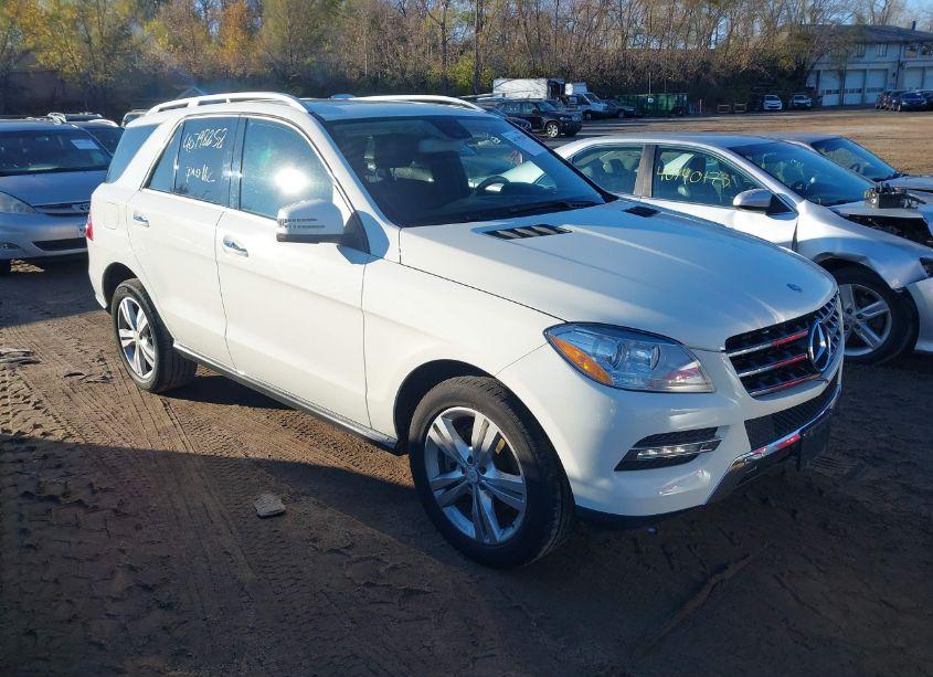 2013 Mercedes-benz Ml 350 4MATIC (VIN 4JGDA5HB7DA154394) main photo