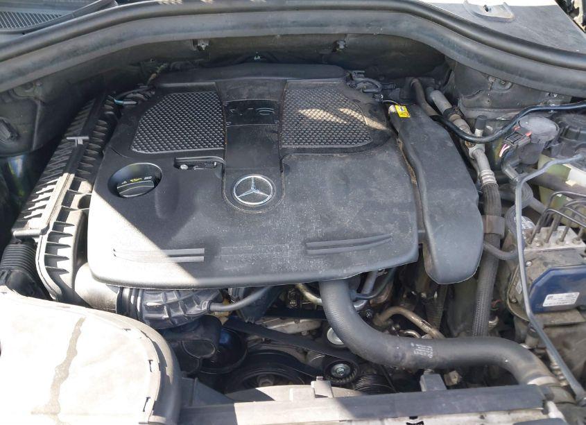 Photo 10 of 2013 Mercedes-benz Ml 350 (VIN 4JGDA5JB9DA205825)