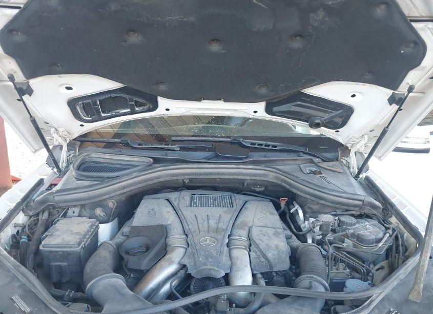 Photo 10 of 2013 Mercedes-benz Gl 450 4MATIC (VIN 4JGDF7CEXDA132548)