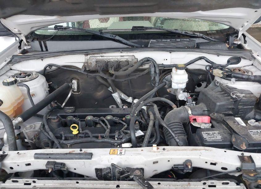 Photo 10 of 2009 Mercury Mariner I4 (VIN 4M2CU91779KJ12839)