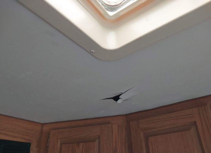 Photo 17 of 2000 Nash Other N/A (VIN 4N11J2624Y0110651)