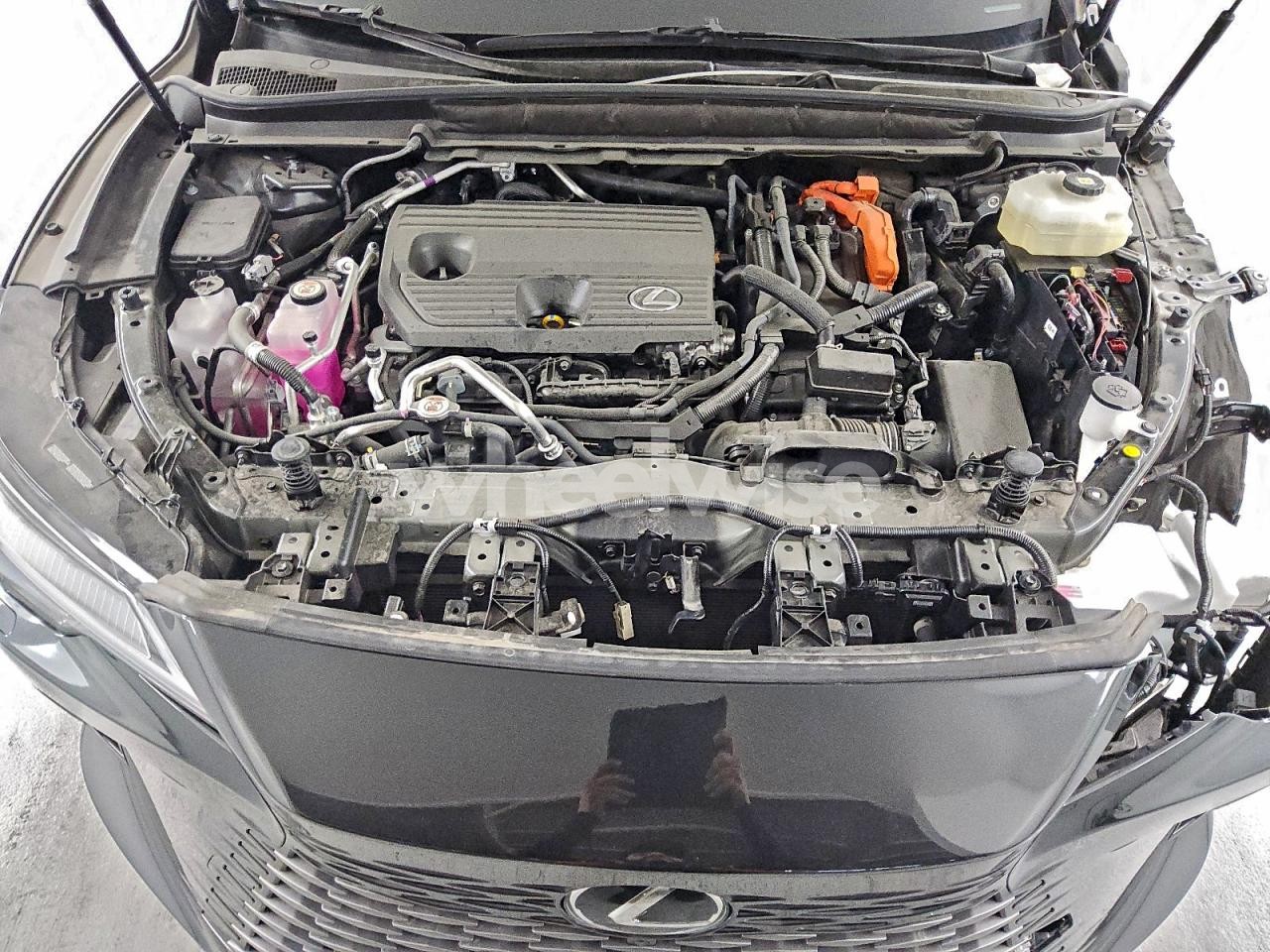 Photo 12 of 2024 LEXUS RX 450H+ LUXURY (VIN 4S3BWAB64N3021826)