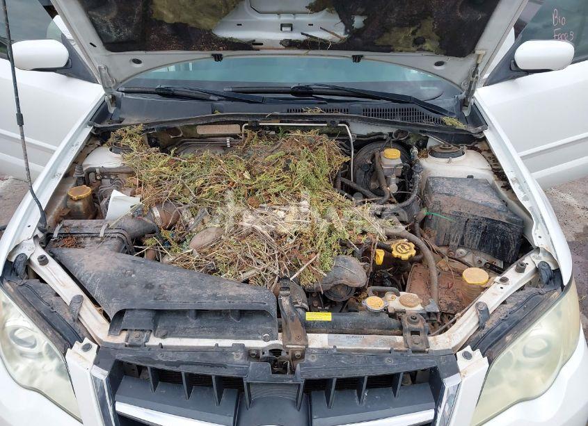 Photo 10 of 2008 Subaru Outback 2.5I LIMITED/2.5I LIMITED L.L. BEAN EDITION (VIN 4S4BP62CX87344061)