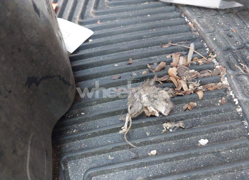 Photo 18 of 2005 Subaru Outback 3.0R L.L. BEAN EDITION (VIN 4S4BP86C254360399)