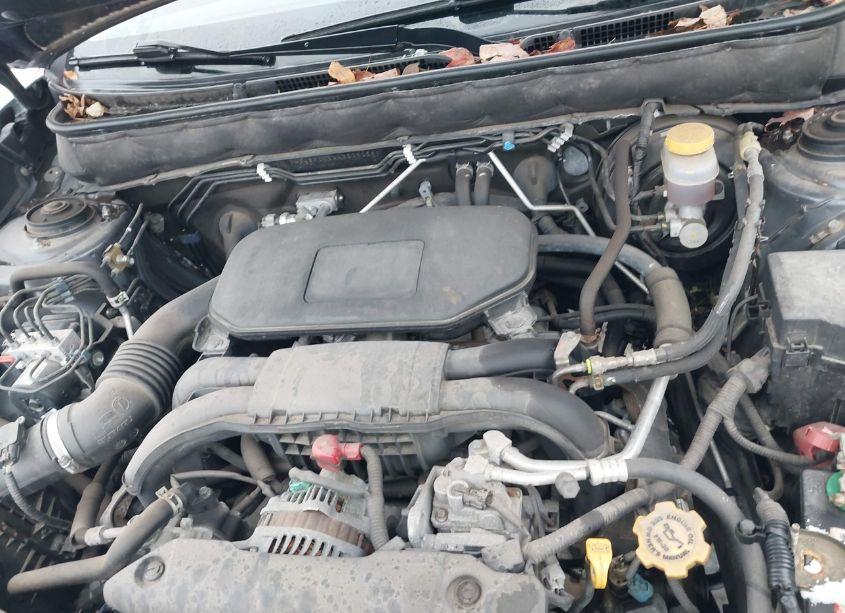 Photo 10 of 2010 Subaru Outback 2.5I LIMITED (VIN 4S4BRCKCXA3339058)