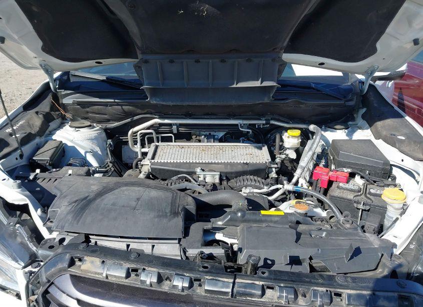 Photo 10 of 2021 Subaru Ascent LIMITED (VIN 4S4WMAPD1M3454030)