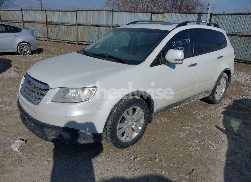 Photo 2 of 2008 Subaru Tribeca LIMITED 5-PASSENGER (VIN 4S4WX92D184409408)