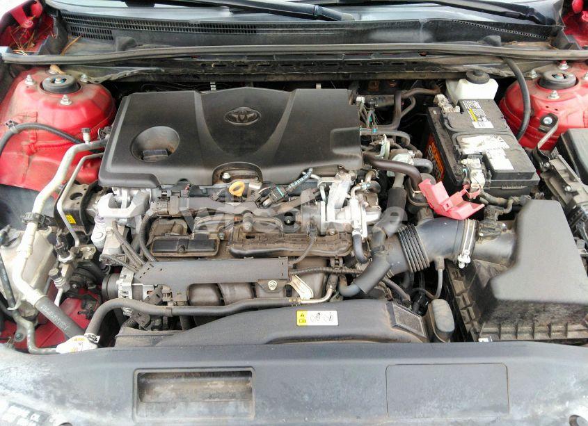 Photo 10 of 2019 Toyota Camry SE (VIN 4T1B11HK0KU170805)