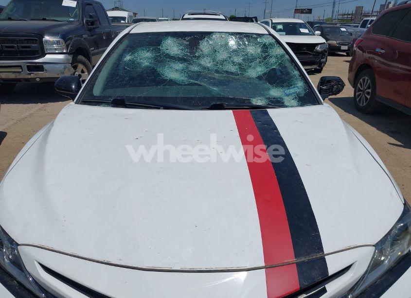 Photo 6 of 2019 Toyota Camry SE (VIN 4T1B11HK0KU809605)