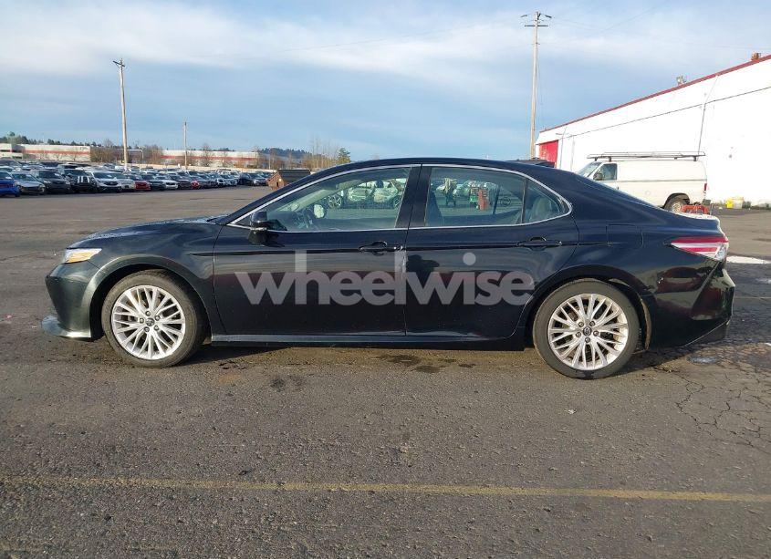 Photo 14 of 2019 Toyota Camry XLE (VIN 4T1B11HK0KU810527)