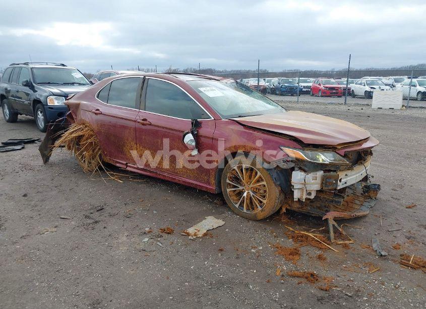 2018 Toyota Camry L/LE/XLE/SE/XSE (VIN 4T1B11HK1JU529058) main photo