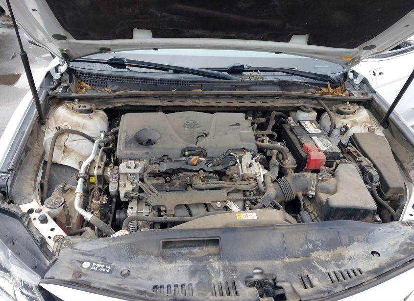 Photo 10 of 2019 Toyota Camry LE (VIN 4T1B11HK1KU719816)