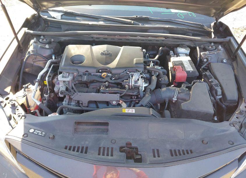 Photo 10 of 2019 Toyota Camry XLE (VIN 4T1B11HK1KU756218)