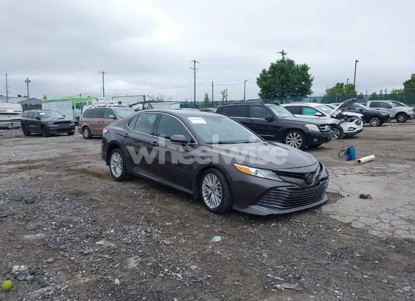 2019 Toyota Camry XLE (VIN 4T1B11HK1KU819432) main photo
