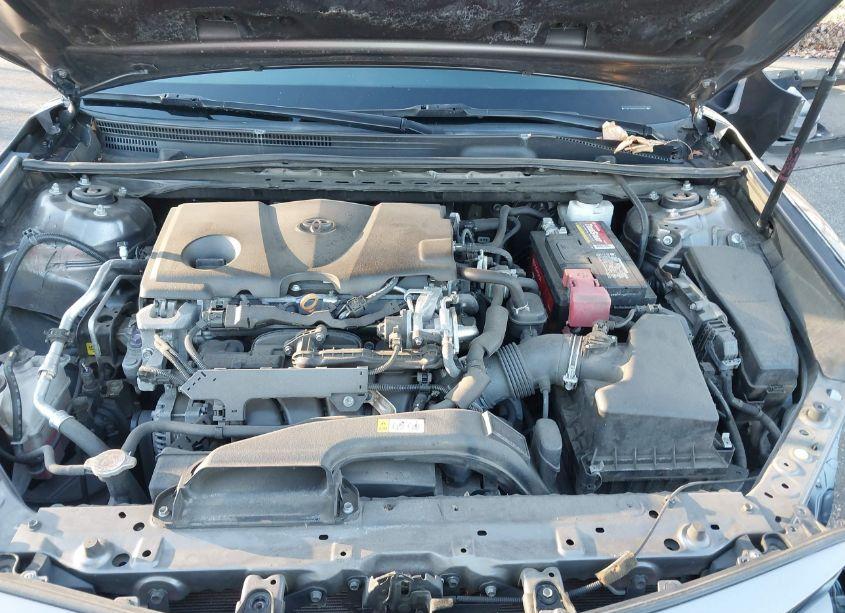 Photo 10 of 2019 Toyota Camry XLE (VIN 4T1B11HK2KU700658)