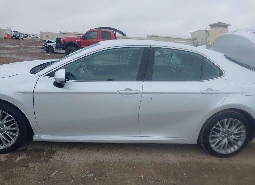 Photo 14 of 2019 Toyota Camry XLE (VIN 4T1B11HK2KU802090)