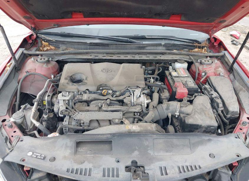 Photo 10 of 2019 Toyota Camry SE (VIN 4T1B11HK3KU181443)