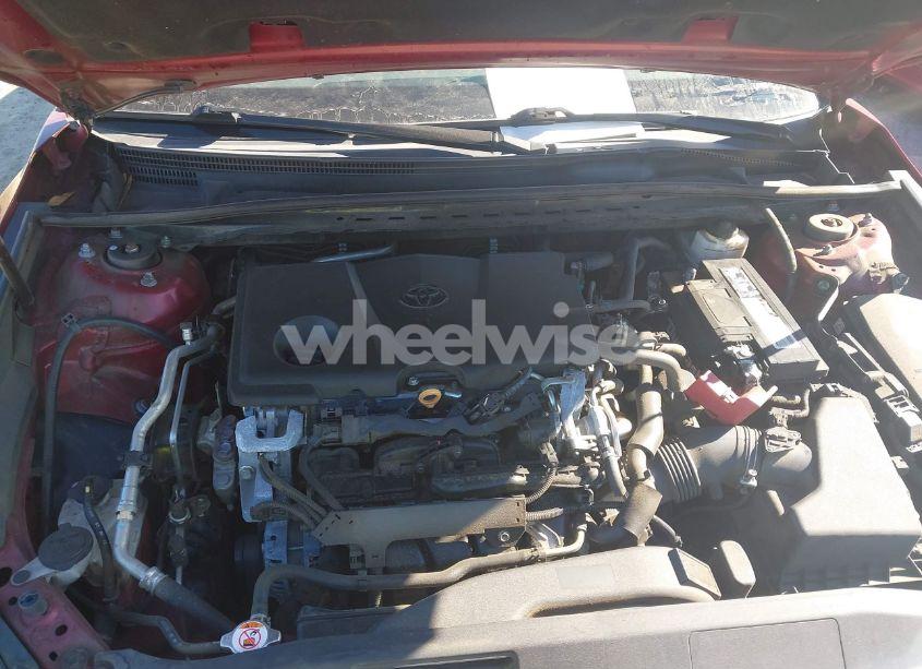 Photo 10 of 2019 Toyota Camry XLE (VIN 4T1B11HK3KU243570)