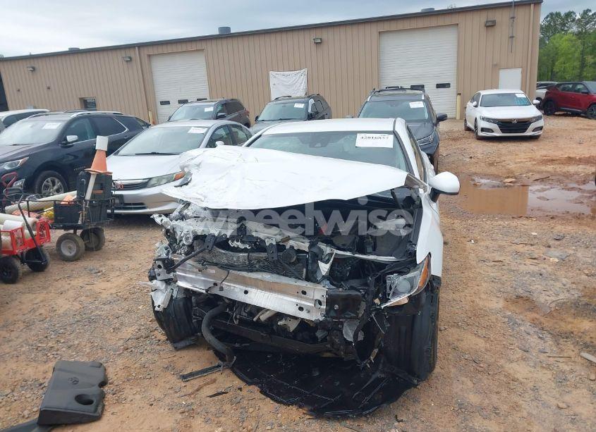 Photo 12 of 2019 Toyota Camry SE (VIN 4T1B11HK3KU281333)