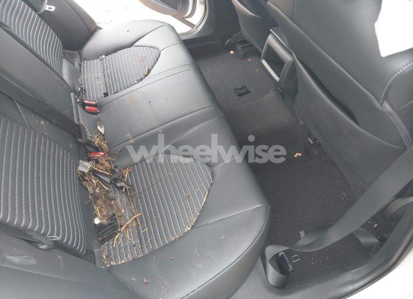 Photo 8 of 2019 Toyota Camry SE (VIN 4T1B11HK3KU281333)