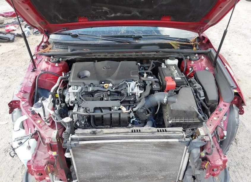 Photo 10 of 2019 Toyota Camry LE (VIN 4T1B11HK3KU716478)