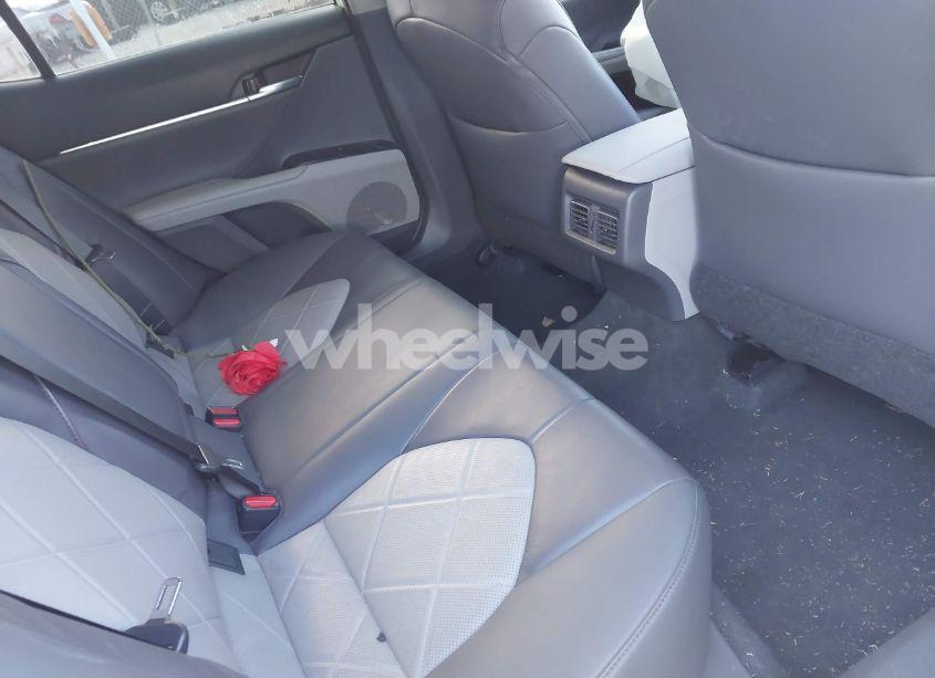 Photo 8 of 2019 Toyota Camry XLE (VIN 4T1B11HK3KU719915)