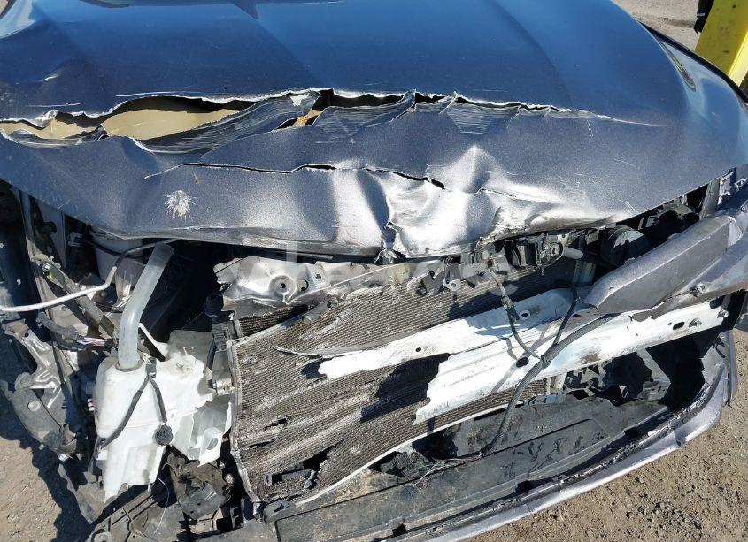 Photo 19 of 2019 Toyota Camry LE (VIN 4T1B11HK4KU254853)