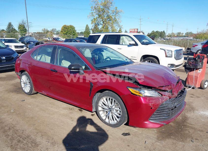 2019 Toyota Camry XLE (VIN 4T1B11HK4KU766404) main photo