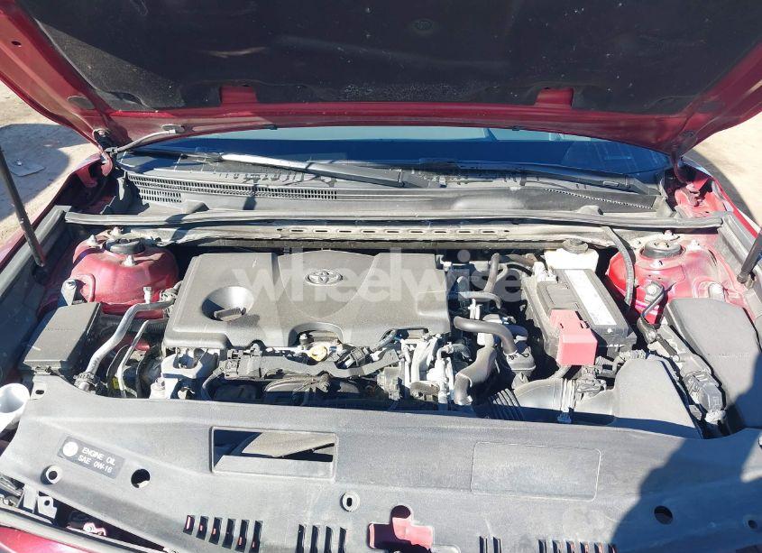 Photo 10 of 2019 Toyota Camry XLE (VIN 4T1B11HK4KU766404)