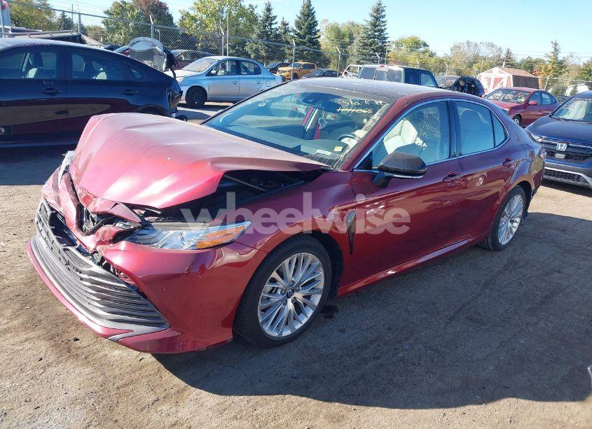 Photo 2 of 2019 Toyota Camry XLE (VIN 4T1B11HK4KU766404)