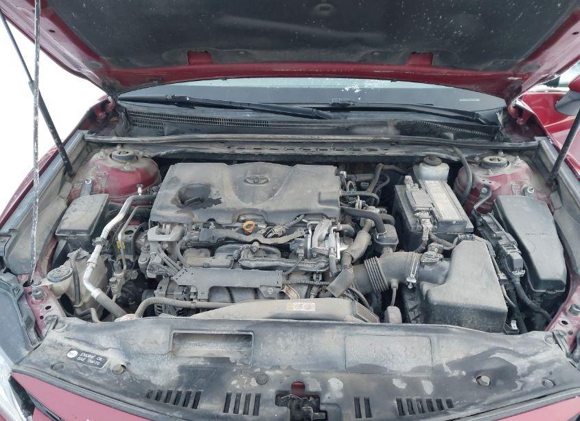 Photo 10 of 2019 Toyota Camry XLE (VIN 4T1B11HK5KU234353)