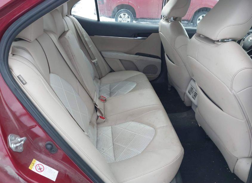 Photo 8 of 2019 Toyota Camry XLE (VIN 4T1B11HK5KU234353)