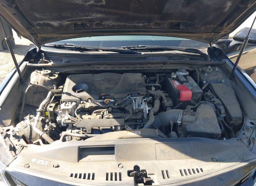 Photo 10 of 2019 Toyota Camry LE (VIN 4T1B11HK5KU714022)