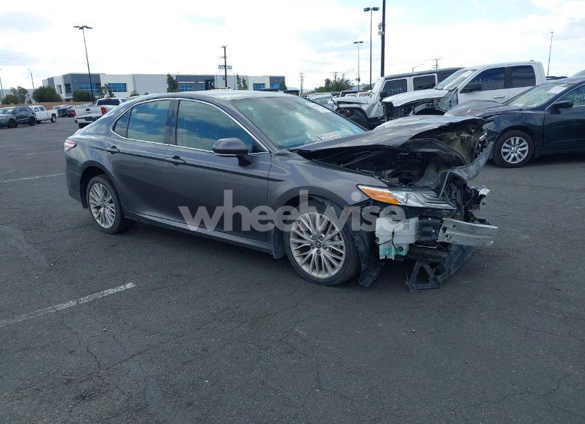 2019 Toyota Camry XLE (VIN 4T1B11HK6KU727846) main photo