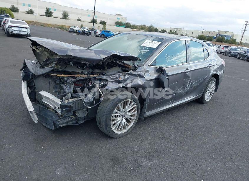 Photo 2 of 2019 Toyota Camry XLE (VIN 4T1B11HK6KU727846)