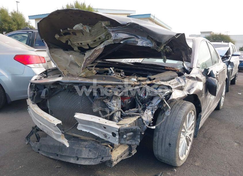 Photo 6 of 2019 Toyota Camry XLE (VIN 4T1B11HK6KU727846)