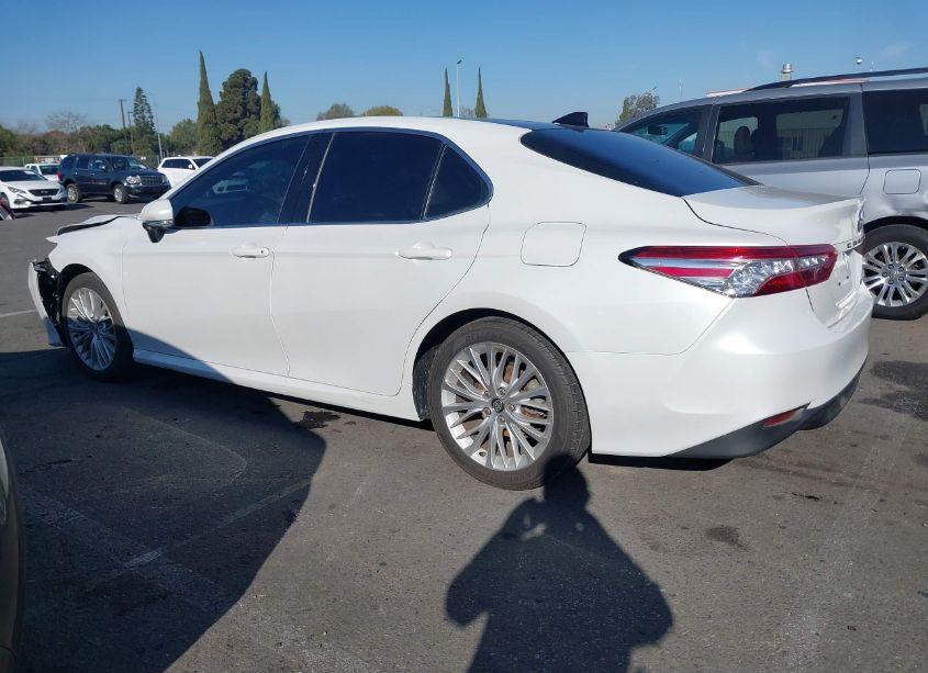 Photo 14 of 2019 Toyota Camry XLE (VIN 4T1B11HK7KU789014)