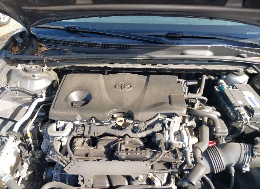 Photo 10 of 2019 Toyota Camry SE (VIN 4T1B11HK7KU794911)