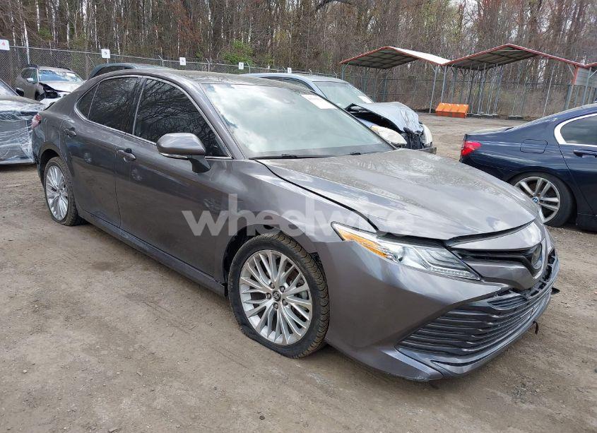 2019 Toyota Camry XLE (VIN 4T1B11HK7KU840270) main photo