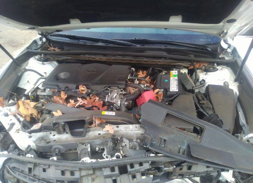 Photo 10 of 2019 Toyota Camry SE (VIN 4T1B11HK8KU167084)
