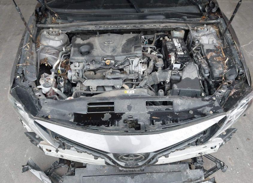 Photo 10 of 2019 Toyota Camry LE (VIN 4T1B11HK8KU688533)