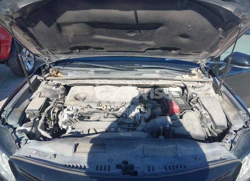 Photo 10 of 2019 Toyota Camry XLE (VIN 4T1B11HK8KU820433)